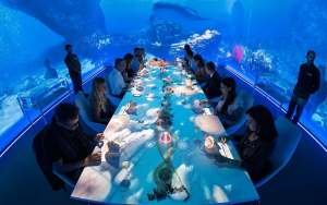 sumblination-restaurant-ibiza-1